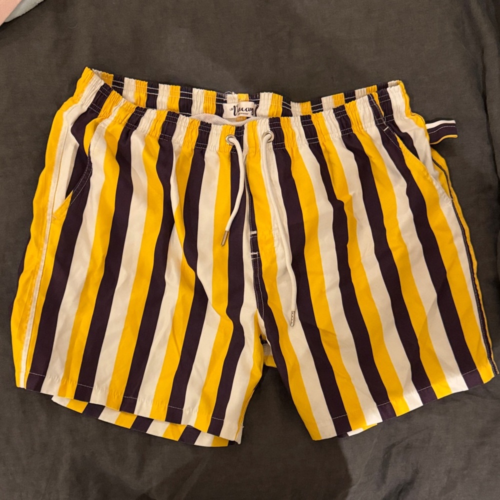 Men's Bold Striped Swim Trunks